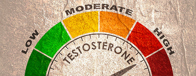 Testing your Testosterone levels