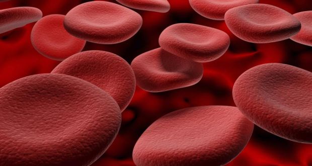 B12 and Anaemia blood tests